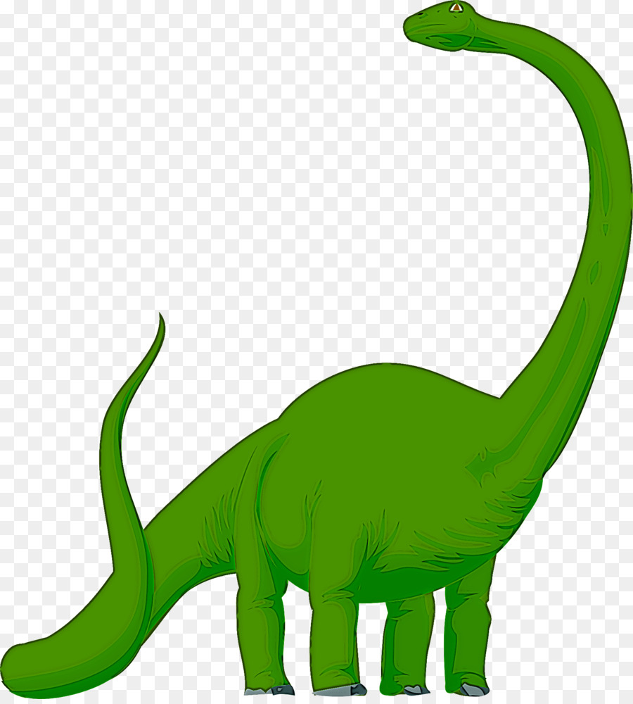 Verde，Animal Figura PNG