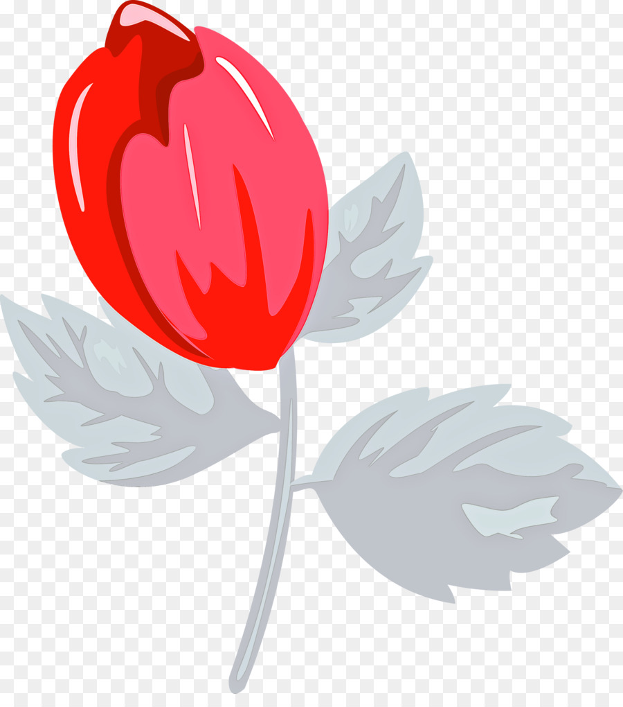 Folha，Tulip PNG