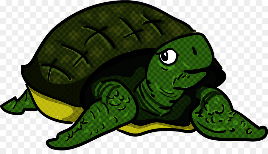 Turtle，Verde PNG