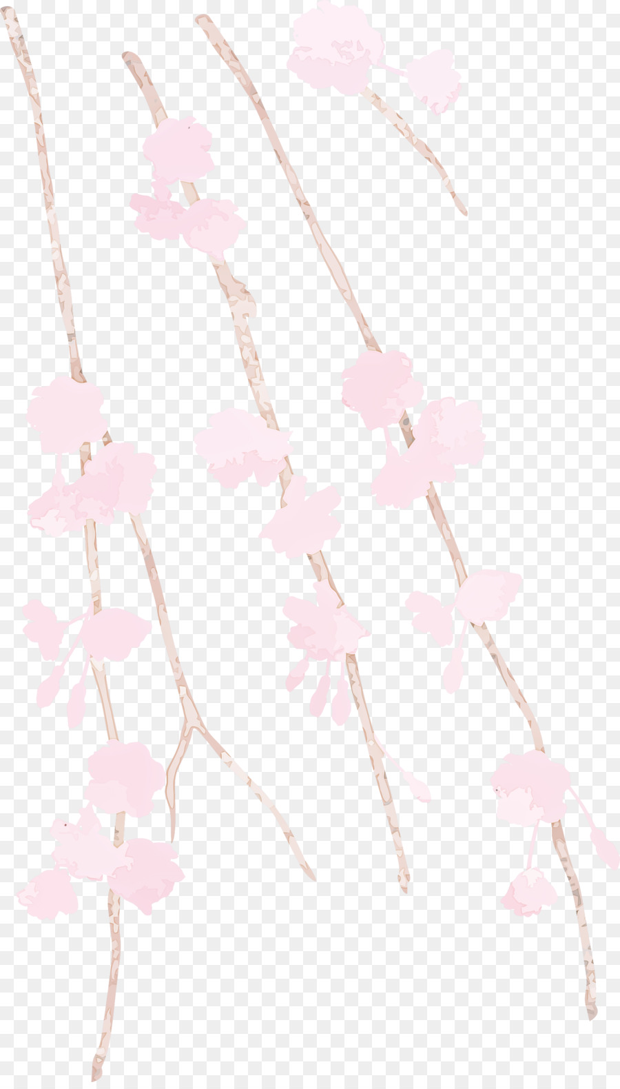 Cor De Rosa，Branco PNG