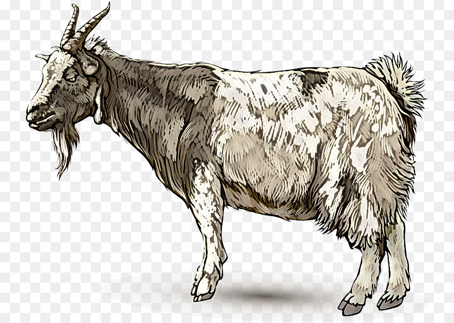 Bovinos，Cowgoat Família PNG