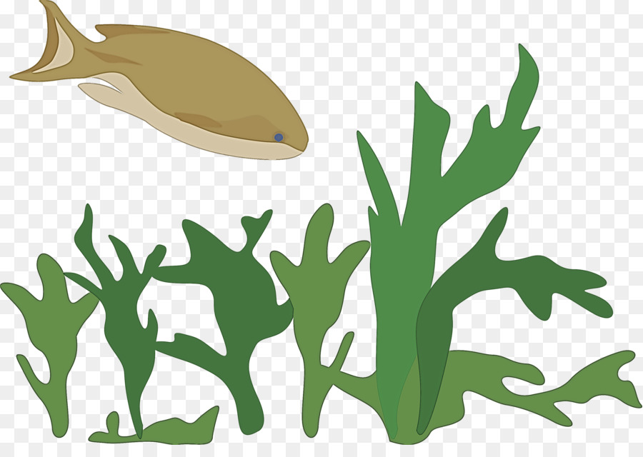 Planta，Comida Vegetariana PNG