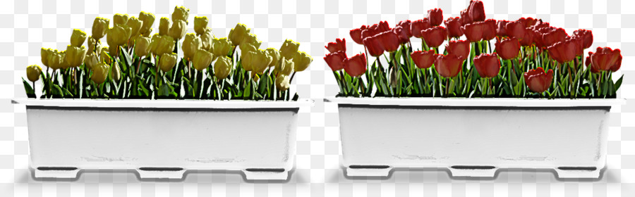 Flores De Corte，Flowerpot PNG