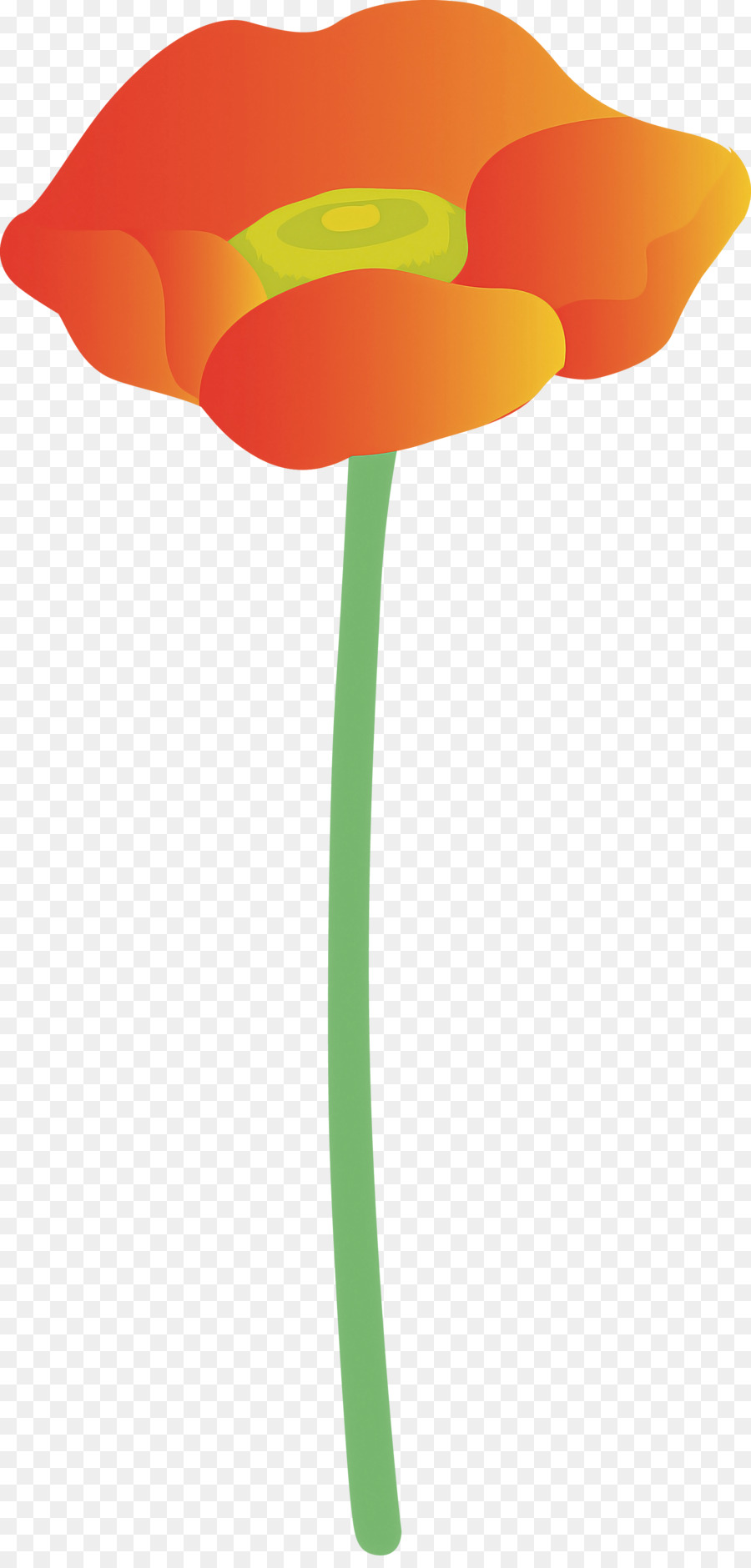 Laranja，Tulip PNG