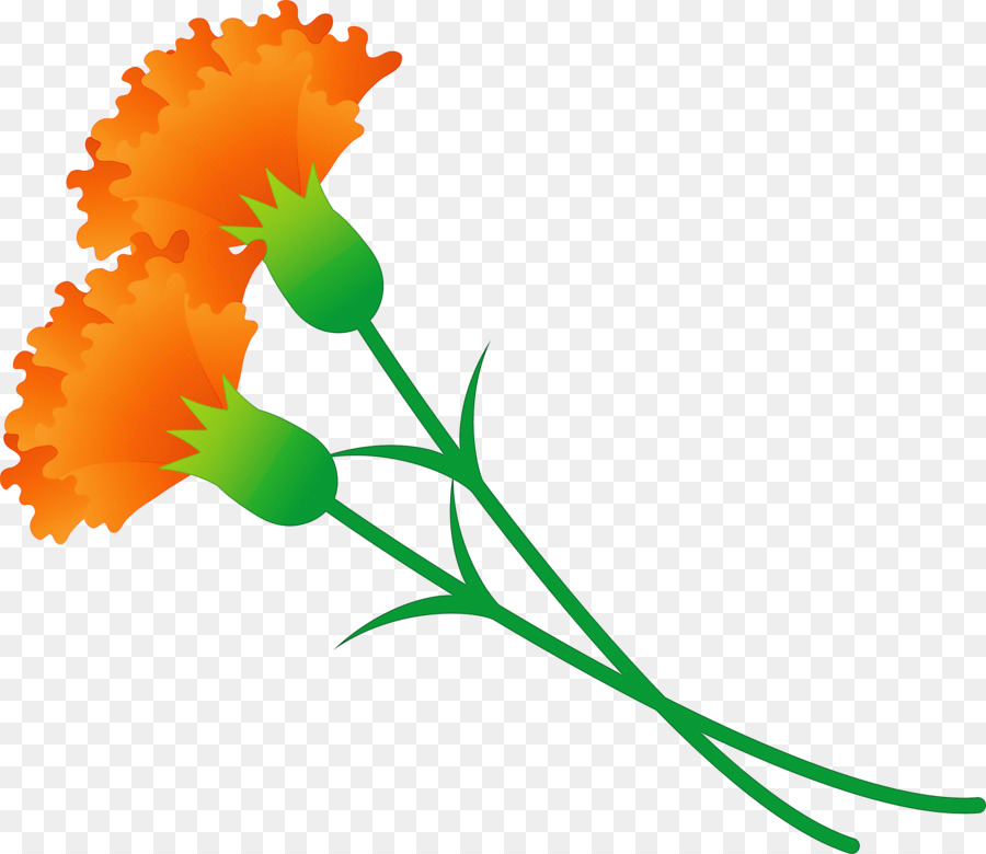 Flor，Tronco PNG