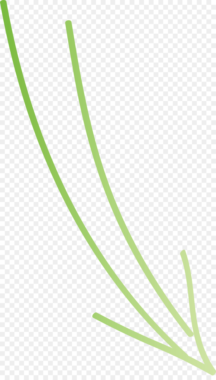 Verde，Linha PNG