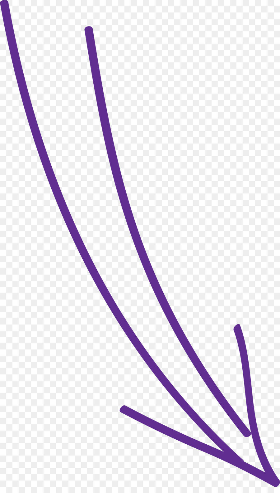 Tolet，Roxo PNG