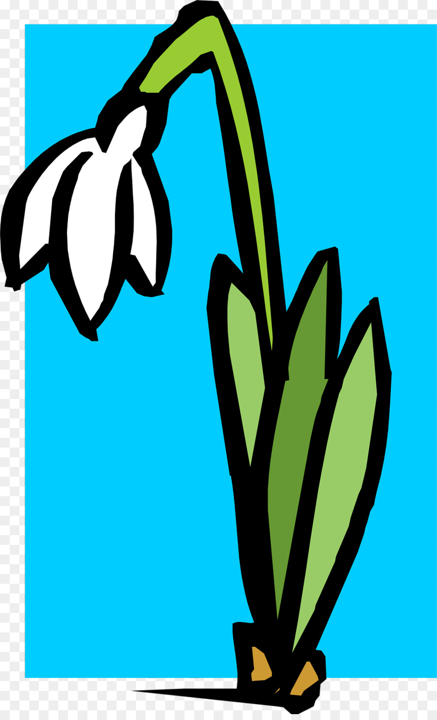 Plantar，Flor PNG