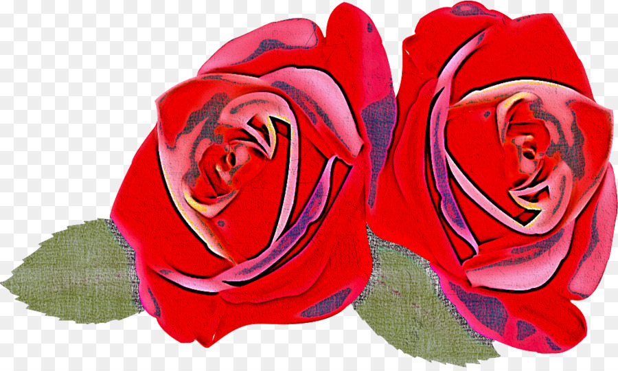 Rosas Vermelhas，Florescer PNG