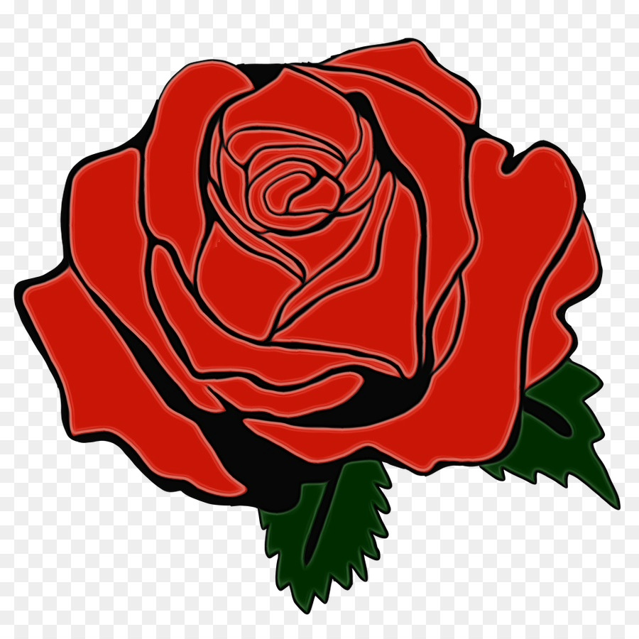 Rosas，Florescer PNG