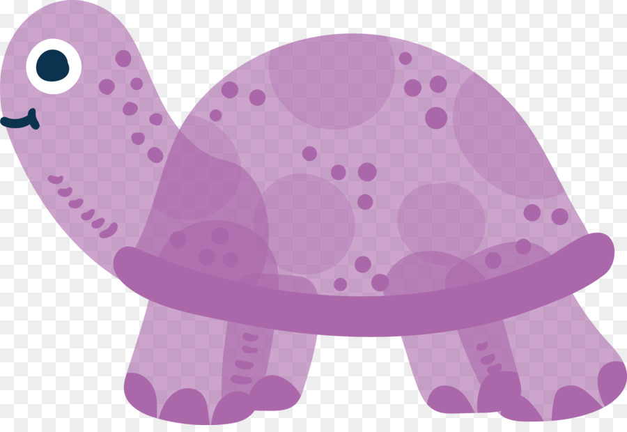 Turtle，Roxo PNG