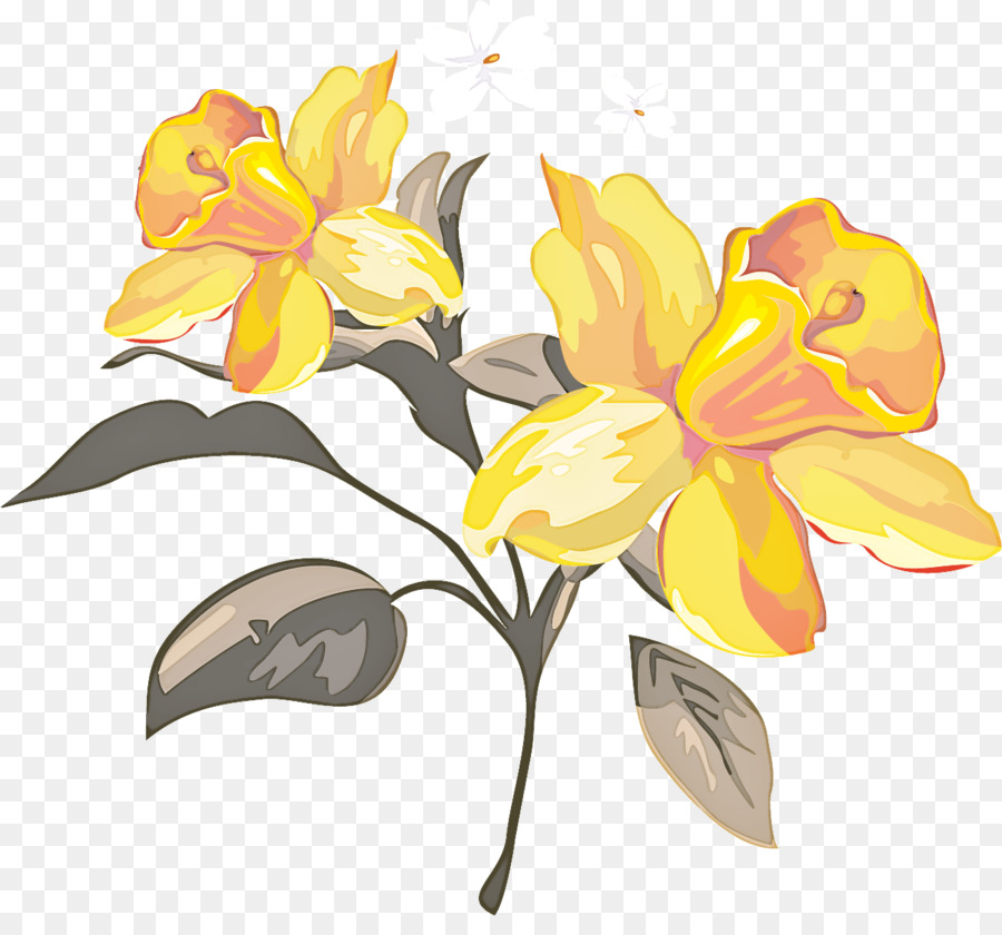 Flor，Amarelo PNG