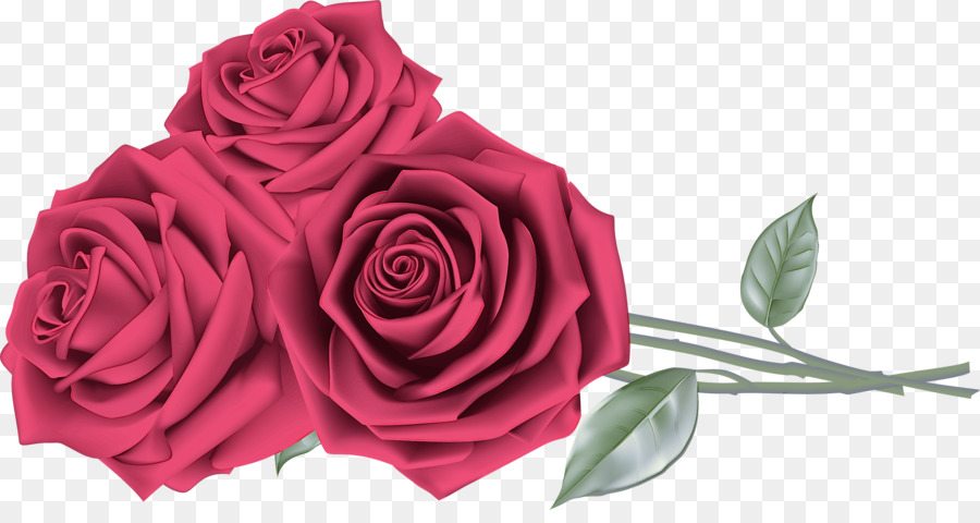 Flor，Rosa PNG