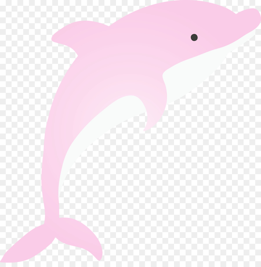Dolphin，Cor De Rosa PNG