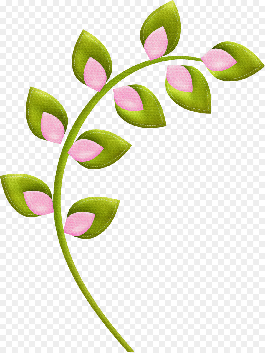 Flor，Planta PNG