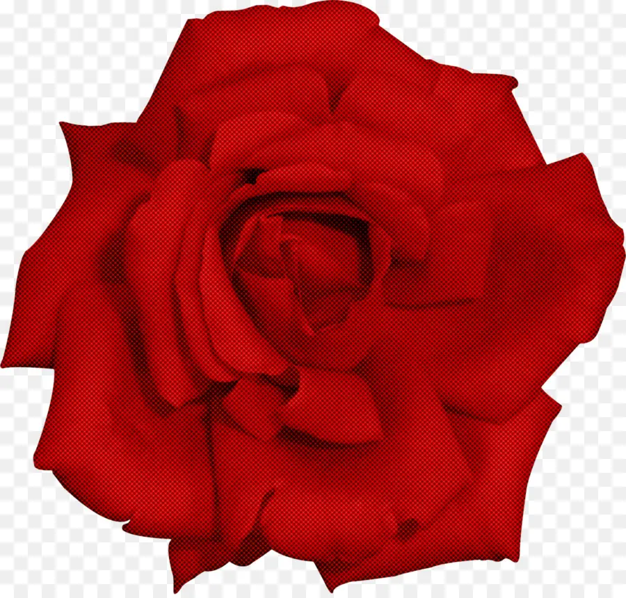 Vermelho，As Rosas Do Jardim PNG