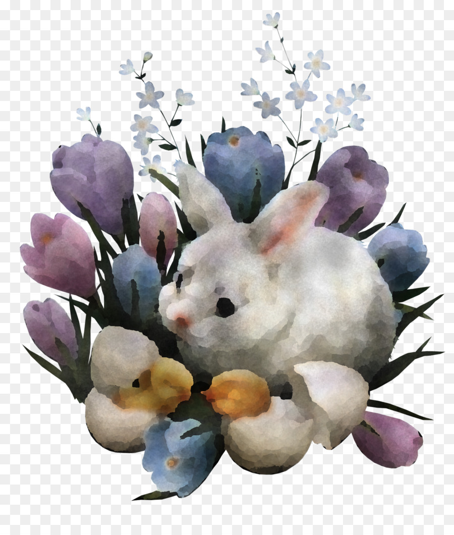 Coelho，Coelhos E Lebres PNG