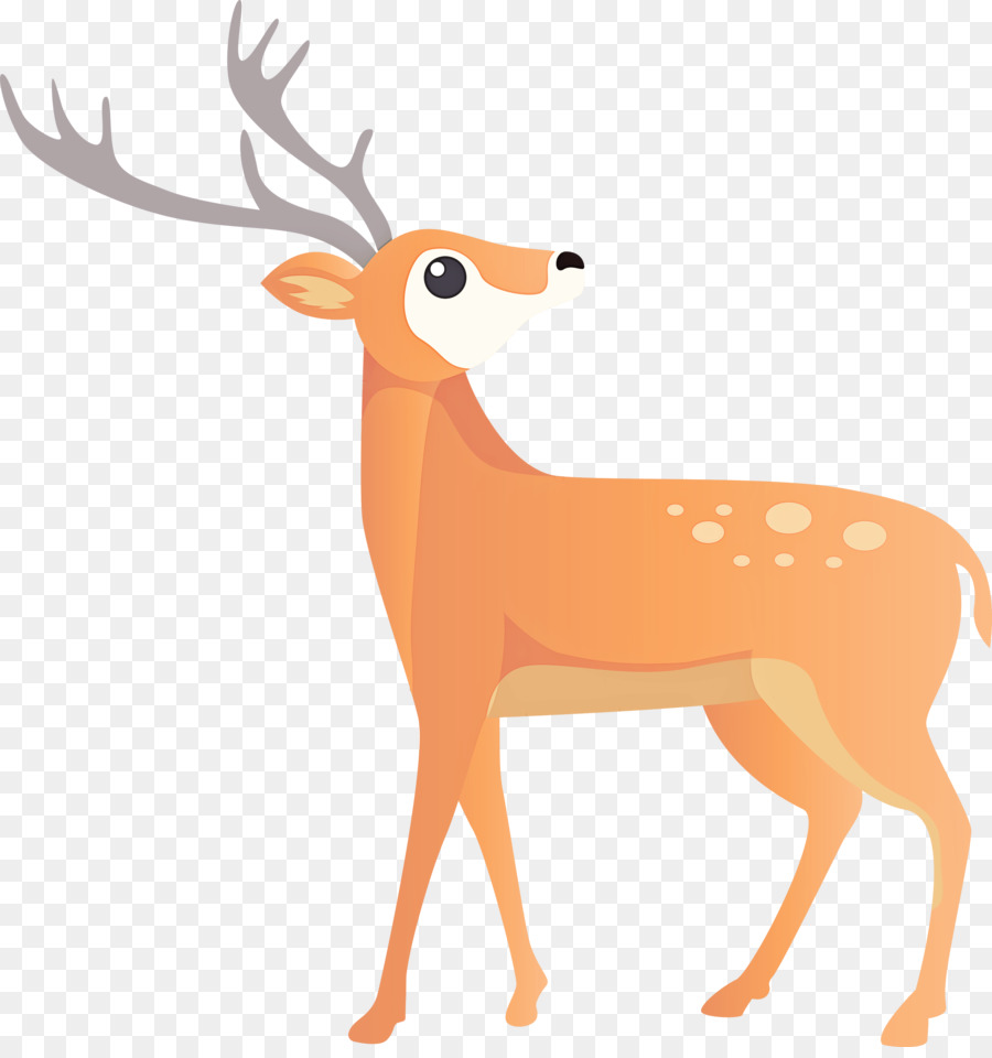 Deer，Rena PNG