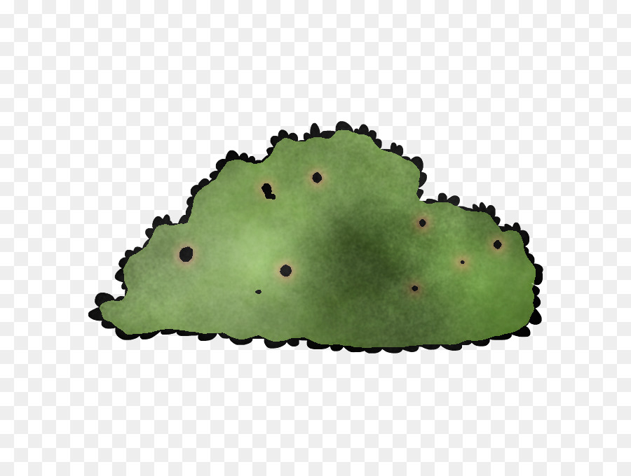 Verde，Folha PNG