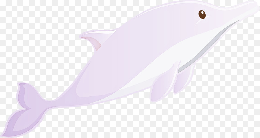 Cetacea，Dolphin PNG