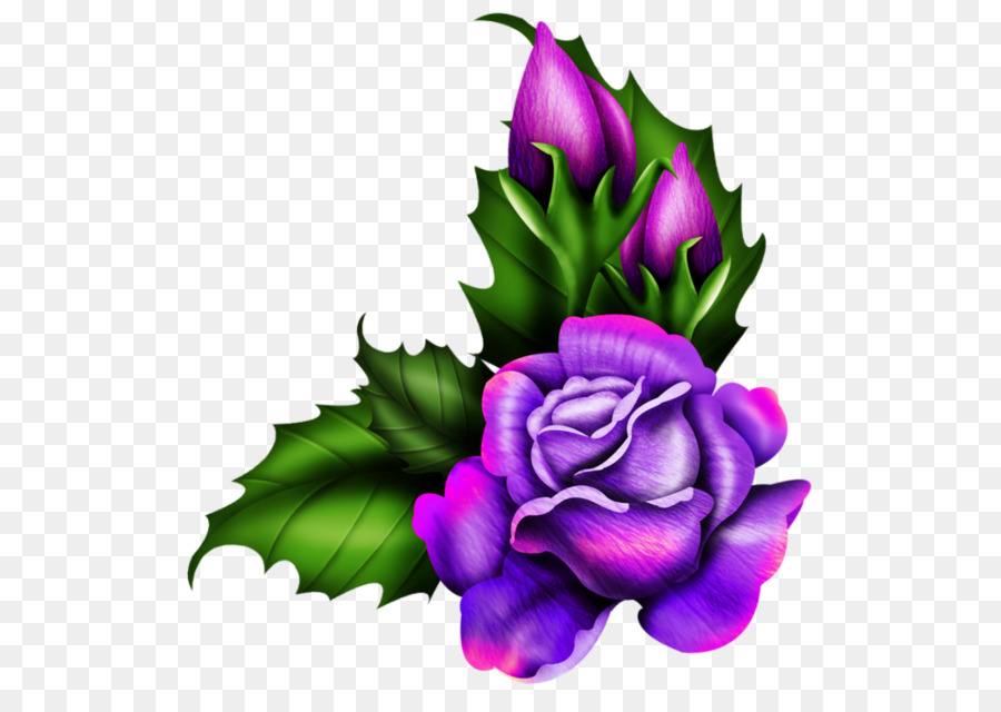 Rosa，Roxo PNG