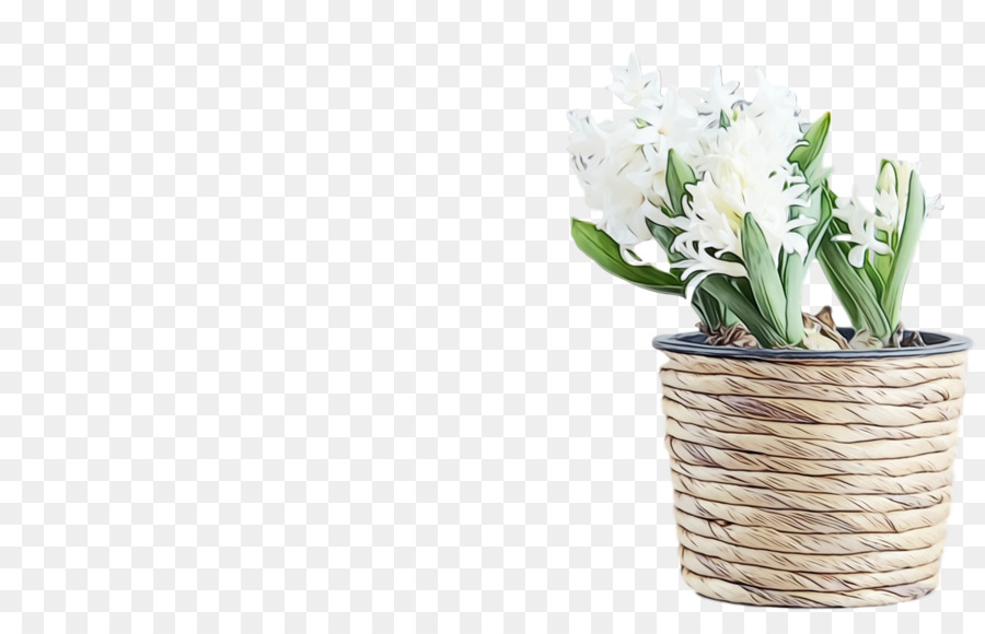 Flor，Flowerpot PNG