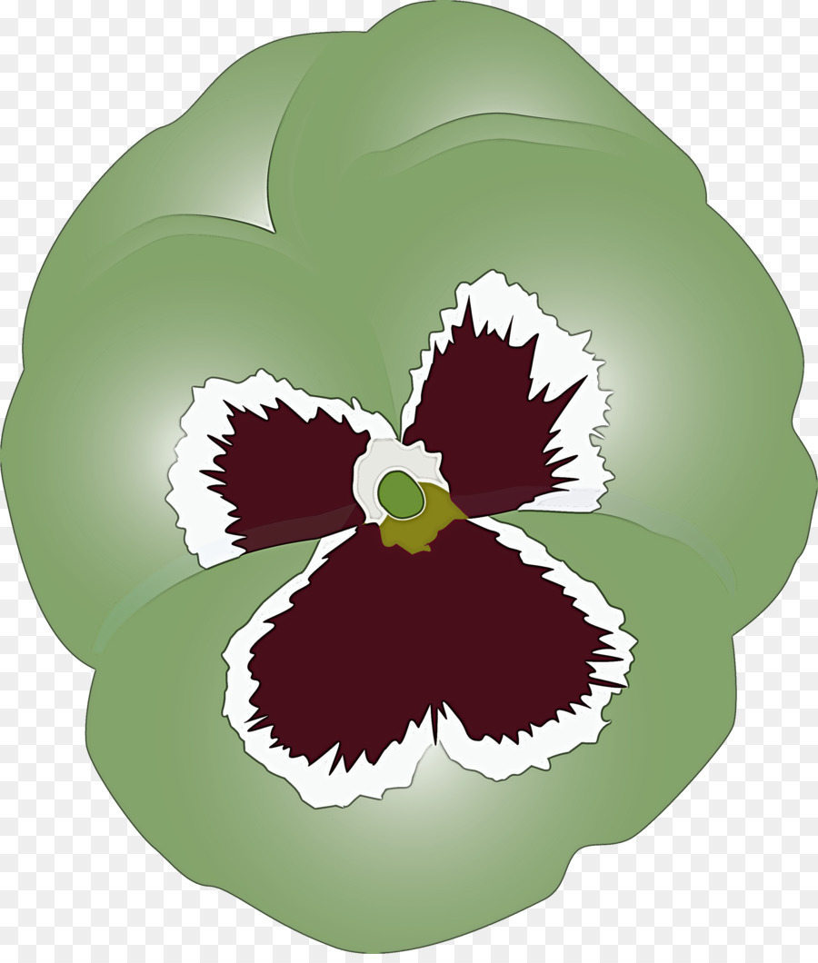 Flor Roxa，Pétalas PNG