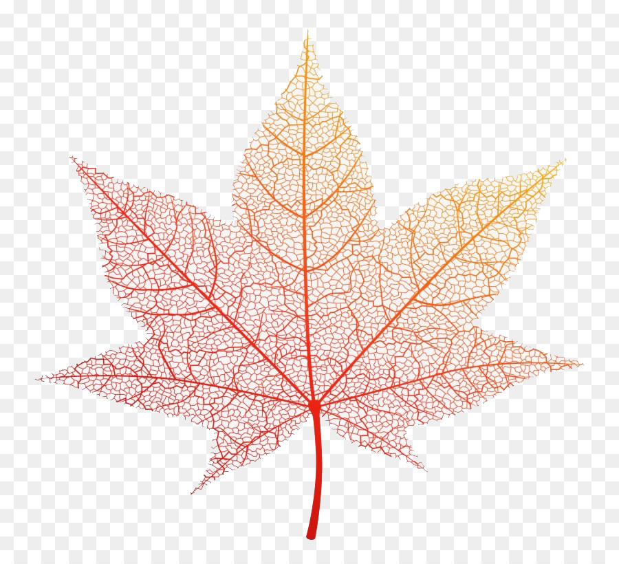 Folha，Maple Leaf PNG