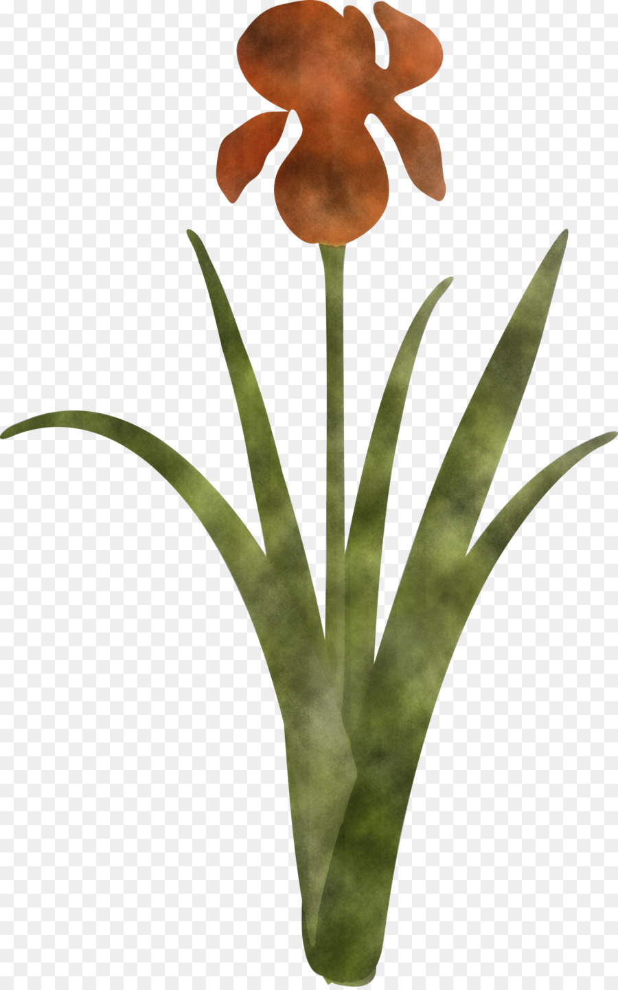Flor，Plantar PNG
