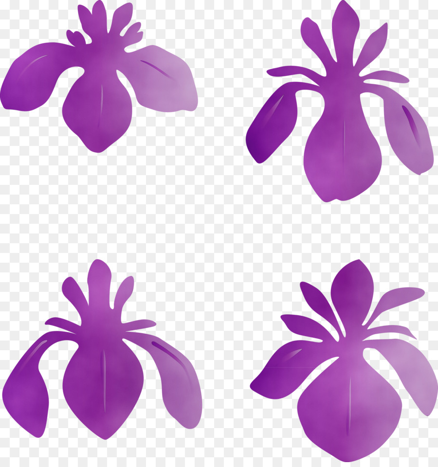 Roxo，Pétala PNG