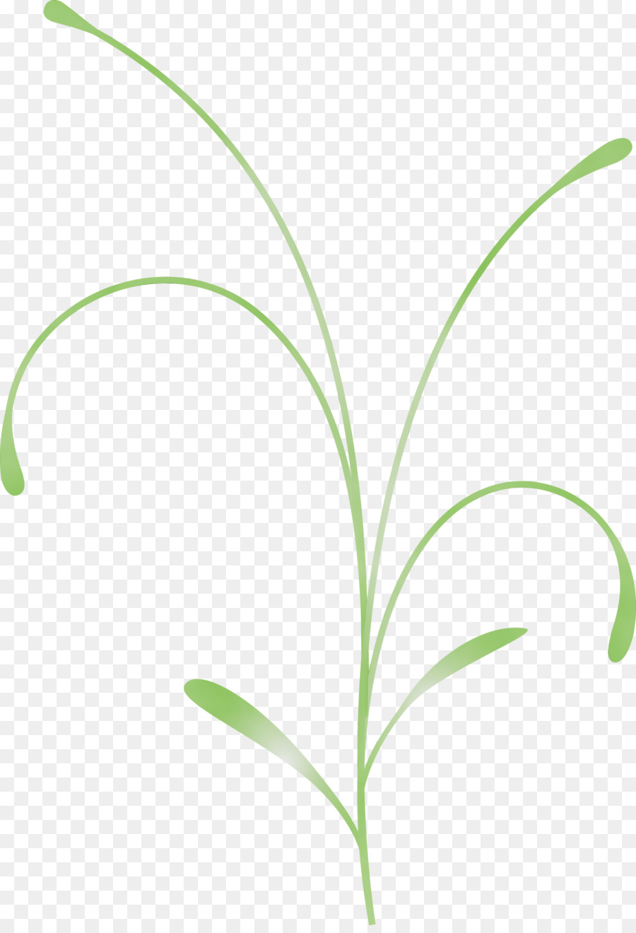 Planta Rosa，Tronco PNG