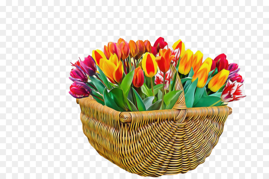 Flor，Tulipa PNG