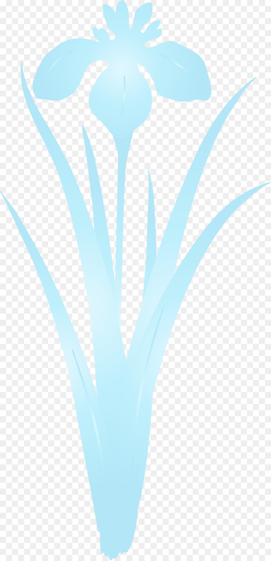 Aqua，Turquesa PNG