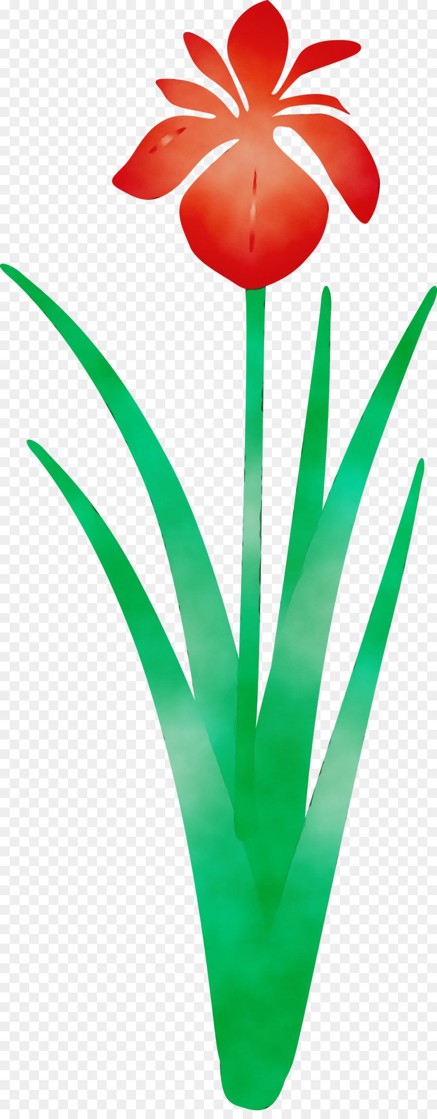 Verde，Folha PNG