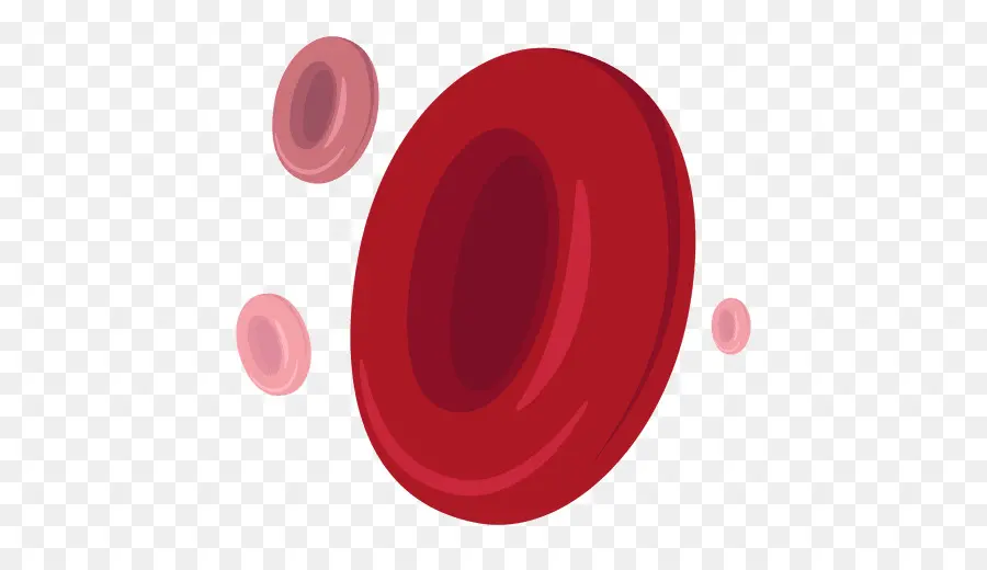 Glóbulo Vermelho，Sangue PNG