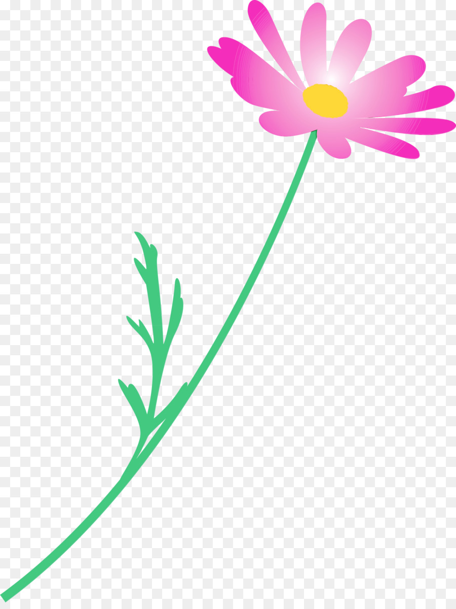 Flor，Tronco PNG