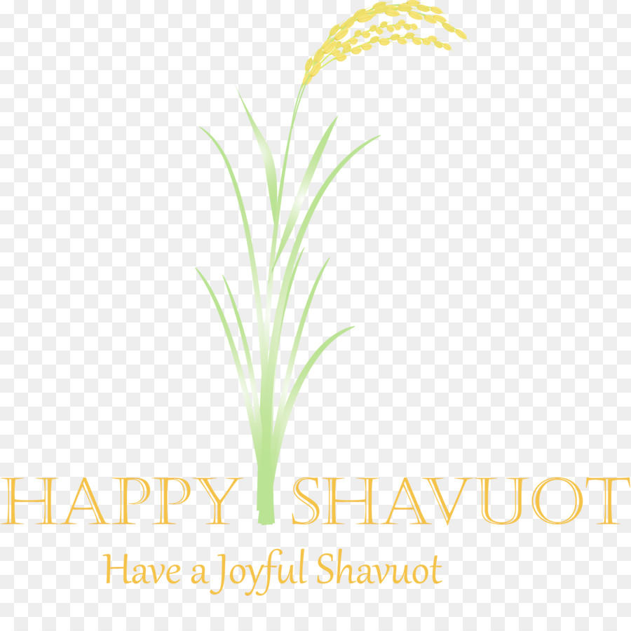 Saudação De Shavuot，Feriado PNG