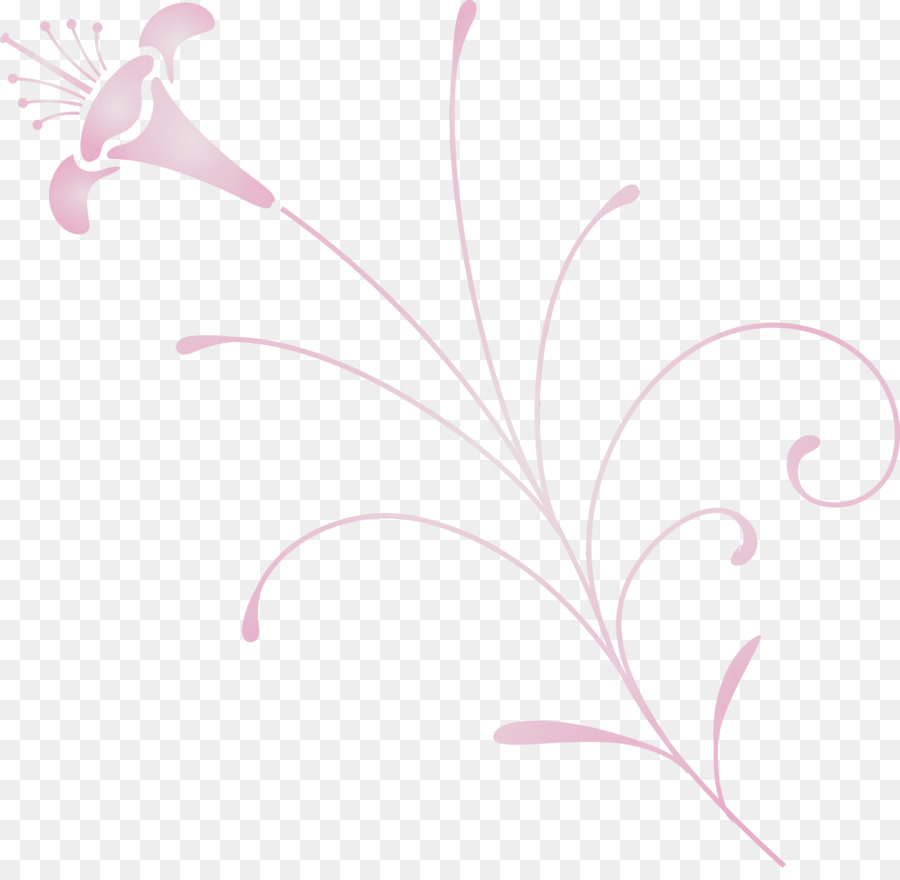 Ornamento Rosa，Projeto PNG