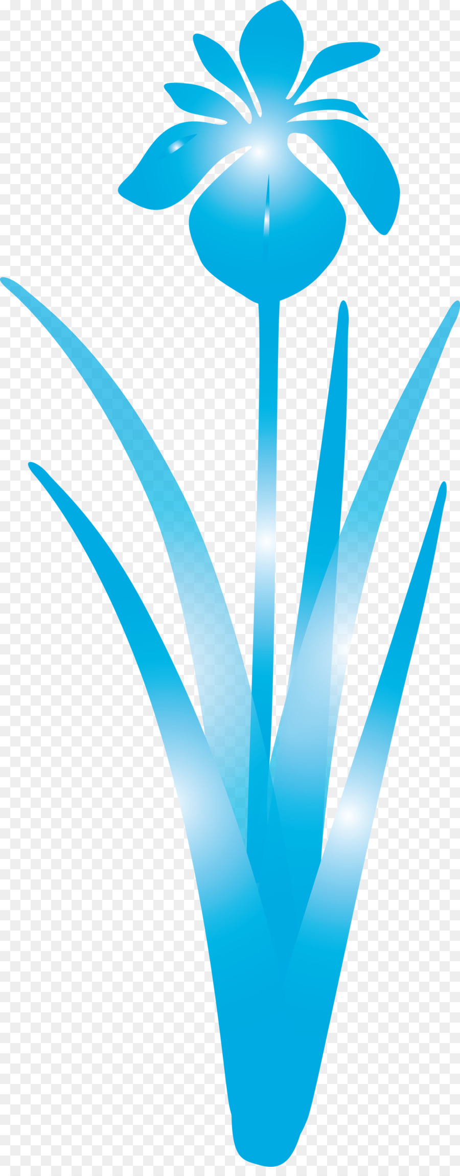 Aqua，Turquesa PNG