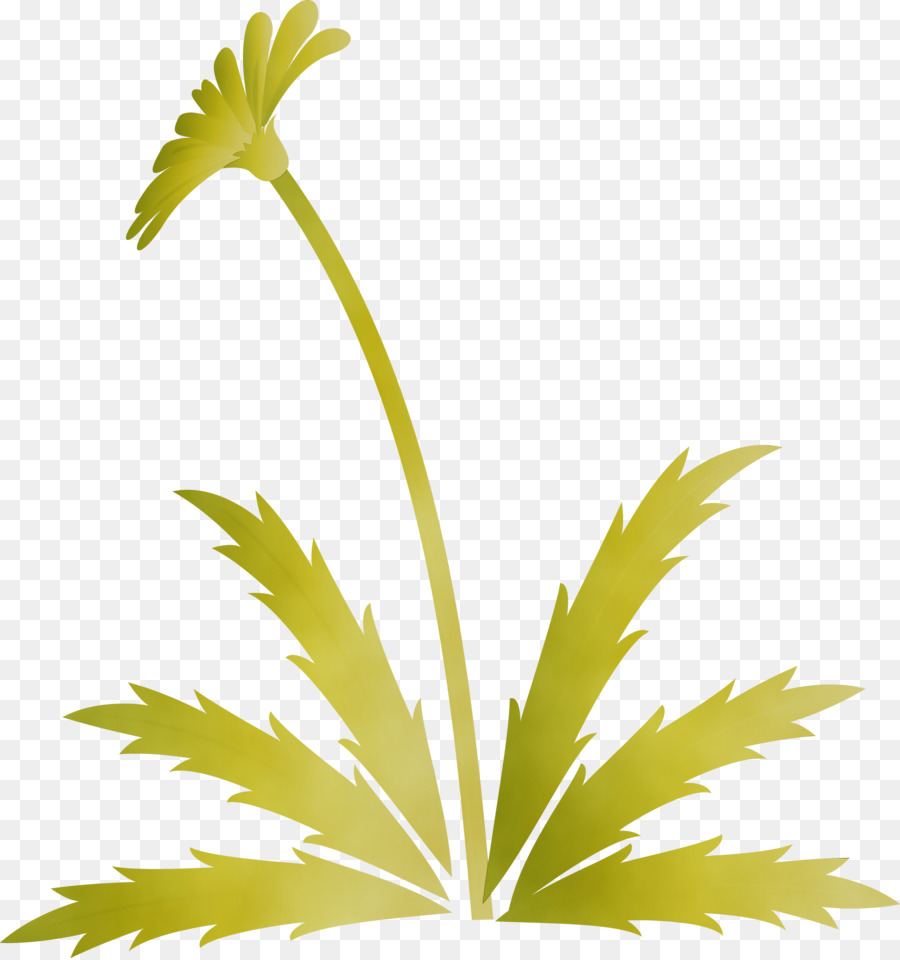 Folha，Planta PNG