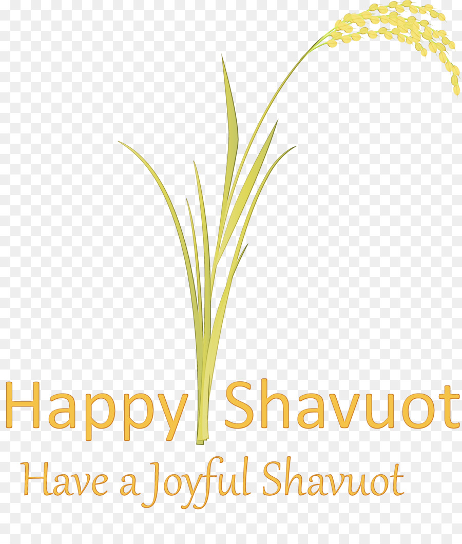 Saudação De Shavuot，Feriado PNG