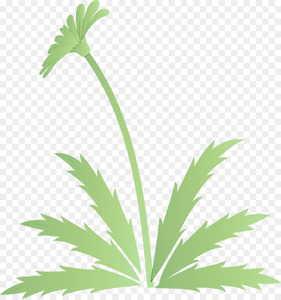 Folha，Planta PNG