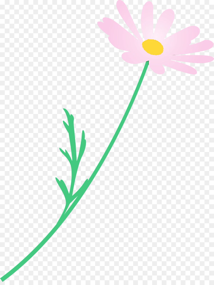 Flores Cor De Rosa，Florescer PNG