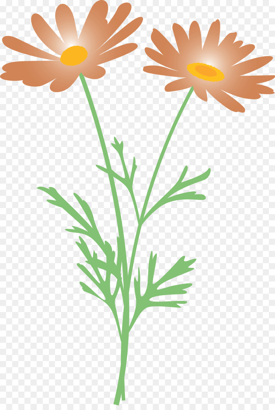 Flores Brancas，Natureza PNG