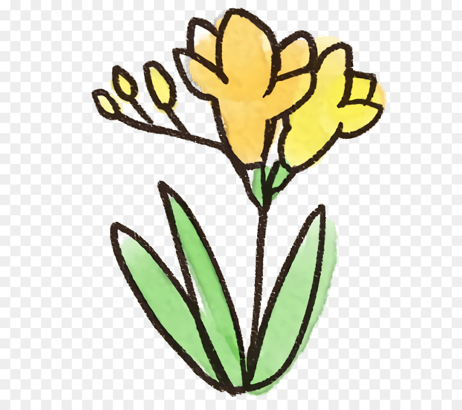 Flor，Amarelo PNG