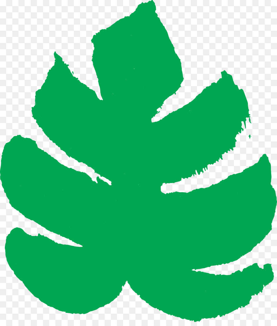 Verde，Folha PNG