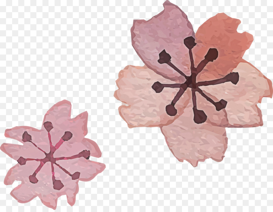 Flores，Florescer PNG