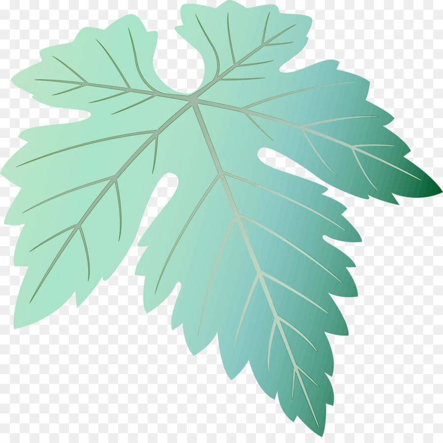 Folha，Planta PNG