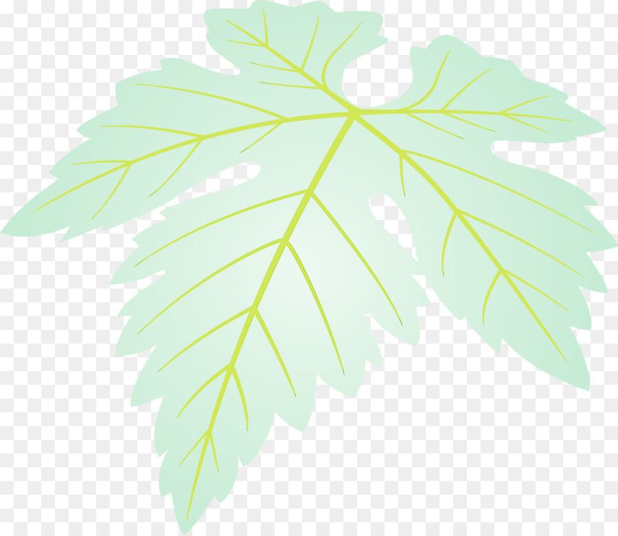 Folha Verde，Plantar PNG