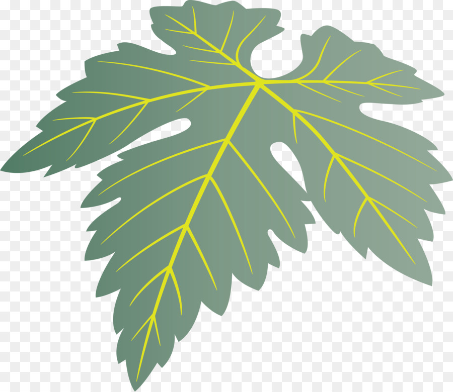 Folha，Planta PNG